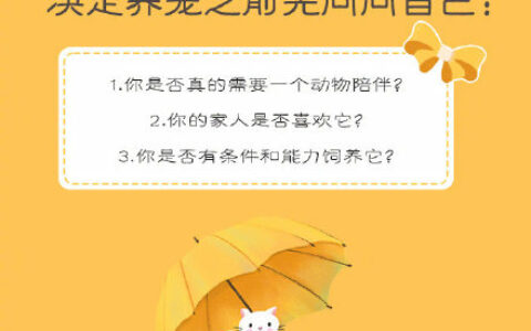 养宠物需要注意什么（养宠物之前做什么准备）
