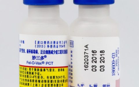猫咪必须要打疫苗吗（猫疫苗打哪些就狗了？）