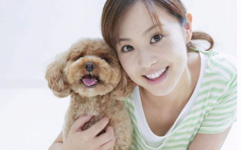 什么狗最安静不爱叫（最适合楼房养的6种狗狗）