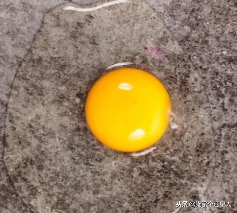狗狗可不可以食用生鸡蛋?