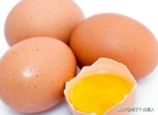 狗狗可不可以食用生鸡蛋?