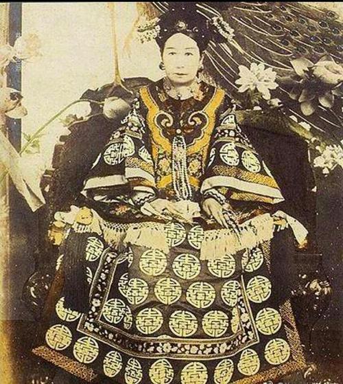 笼养宠物鸟放生后,在野外会生存吗?观赏鸟放生详细手册