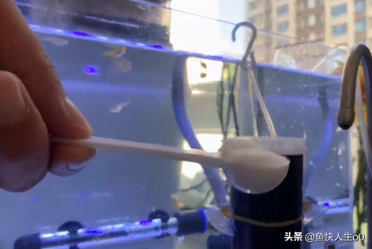 如何自己动手孵化丰年虾,如何收虾及保存,让小鱼吃得新鲜、健康