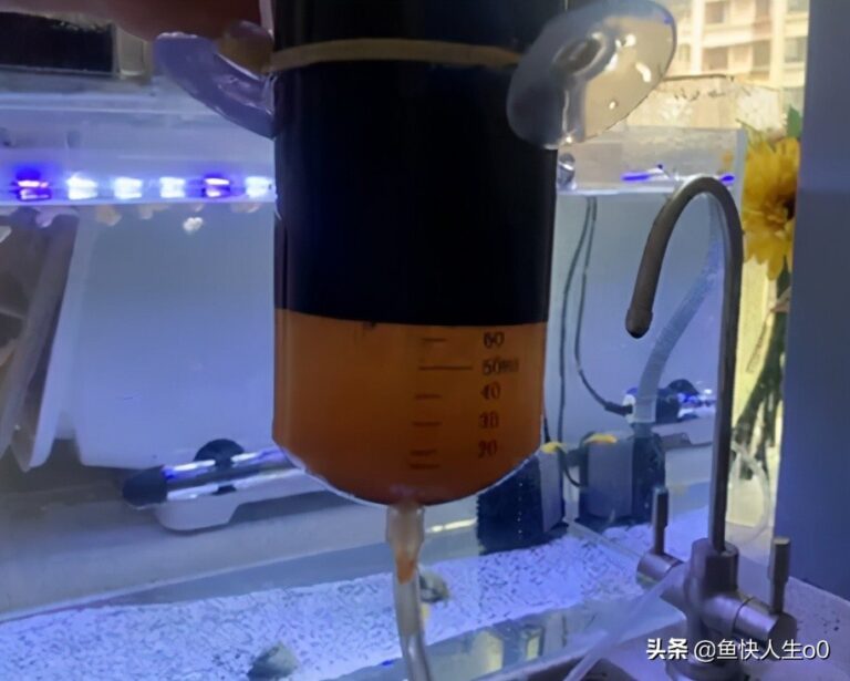 如何自己动手孵化丰年虾,如何收虾及保存,让小鱼吃得新鲜、健康