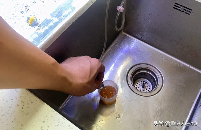 如何自己动手孵化丰年虾,如何收虾及保存,让小鱼吃得新鲜、健康