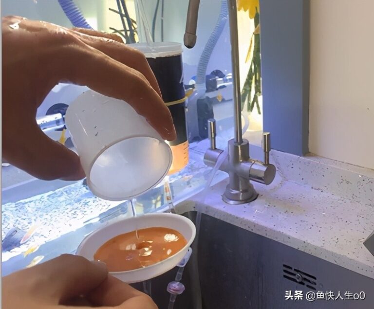 如何自己动手孵化丰年虾,如何收虾及保存,让小鱼吃得新鲜、健康