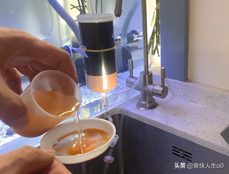 如何自己动手孵化丰年虾,如何收虾及保存,让小鱼吃得新鲜、健康