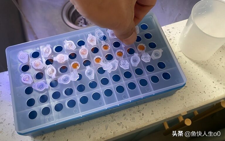 如何自己动手孵化丰年虾,如何收虾及保存,让小鱼吃得新鲜、健康
