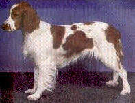 说明: http://fmn.rrfmn.com/fmn051/20110429/1620/b_large_qKAA_2e9c0003881d5c41.jpg