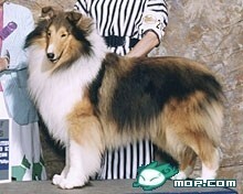 说明: http://fmn.rrfmn.com/fmn052/20110429/1620/b_large_L1Om_2e8800018e285c41.jpg