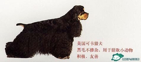 说明: http://fmn.rrfmn.com/fmn055/20110429/1620/b_large_Hp4T_2e9c000388bb5c41.jpg