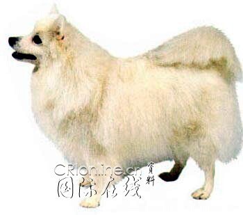 说明: http://fmn.rrfmn.com/fmn055/20110429/1620/b_large_t0Nz_2e9200027cda5c41.jpg