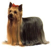 说明: http://fmn.rrfmn.com/fmn053/20110429/1620/b_large_Km5m_2e9200027dc75c41.jpg