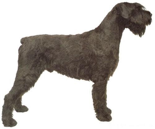 说明: http://fmn.rrfmn.com/fmn047/20110429/1625/b_large_6XqZ_2e9c00038b715c41.jpg