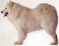 说明: http://fmn.xnpic.com/fmn049/20110429/1625/b_large_RDtV_2e7e0000e4e75c41.jpg