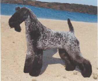 说明: http://fmn.rrfmn.com/fmn054/20110429/1630/b_large_whBJ_2e74000077e35c41.jpg