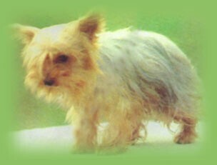 说明: http://fmn.rrfmn.com/fmn047/20110429/1630/b_large_SX91_2e9c00038d055c41.jpg
