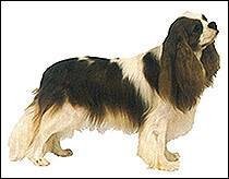 说明: http://fmn.rrfmn.com/fmn051/20110429/1635/b_large_FWXJ_2e9c000390375c41.jpg