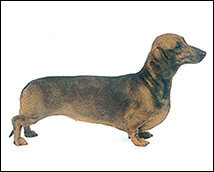 说明: http://fmn.xnpic.com/fmn050/20110429/1640/b_large_Ooyz_2e88000194685c41.jpg
