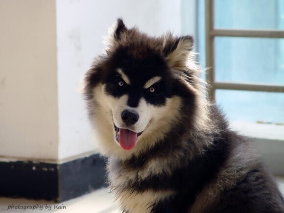 说明: http://fmn.rrfmn.com/fmn052/20110429/1640/b_large_jv5y_2e92000285b25c41.jpg