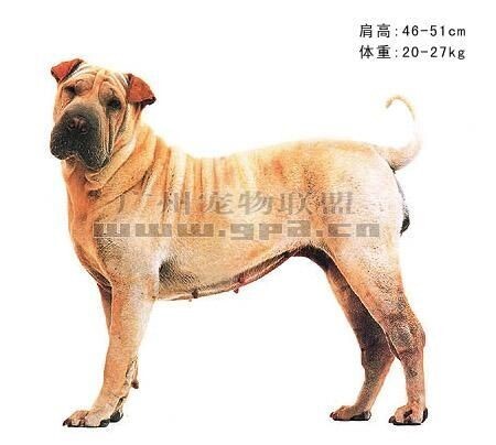 说明: http://fmn.rrfmn.com/fmn046/20110429/1640/b_large_Cd5Y_2e880001953e5c41.jpg