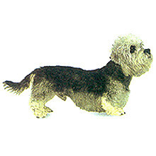 说明: http://fmn.xnpic.com/fmn050/20110429/1645/b_large_MGzi_2e9c000395a95c41.jpg