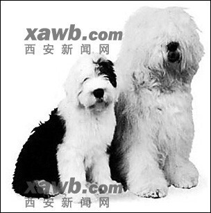 说明: http://fmn.rrfmn.com/fmn046/20110429/1645/b_large_ssHa_2e920002878a5c41.jpg