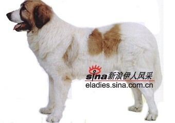 说明: http://fmn.rrfmn.com/fmn052/20110429/1645/b_large_ThQx_2e740000799e5c41.jpg