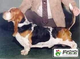 说明: http://fmn.rrfmn.com/fmn051/20110429/1645/b_large_TFXB_2e880001970d5c41.jpg