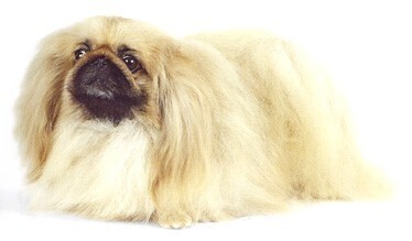 说明: http://fmn.rrfmn.com/fmn047/20110429/1650/b_large_0Gxw_2e9c000397c85c41.jpg