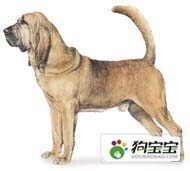 说明: http://fmn.rrfmn.com/fmn052/20110429/1650/b_large_jTfE_2e74000079e95c41.jpg