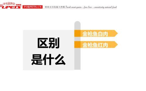 红肉