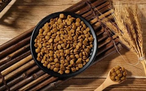 哪个牌子的狗粮吃起来放心？高性价比好品质狗粮推荐