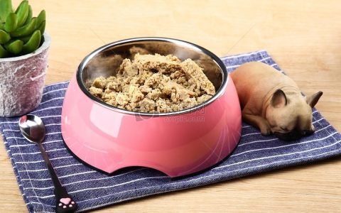 揭秘狗狗罐头饮食：是垃圾食品还是营养加强剂？
