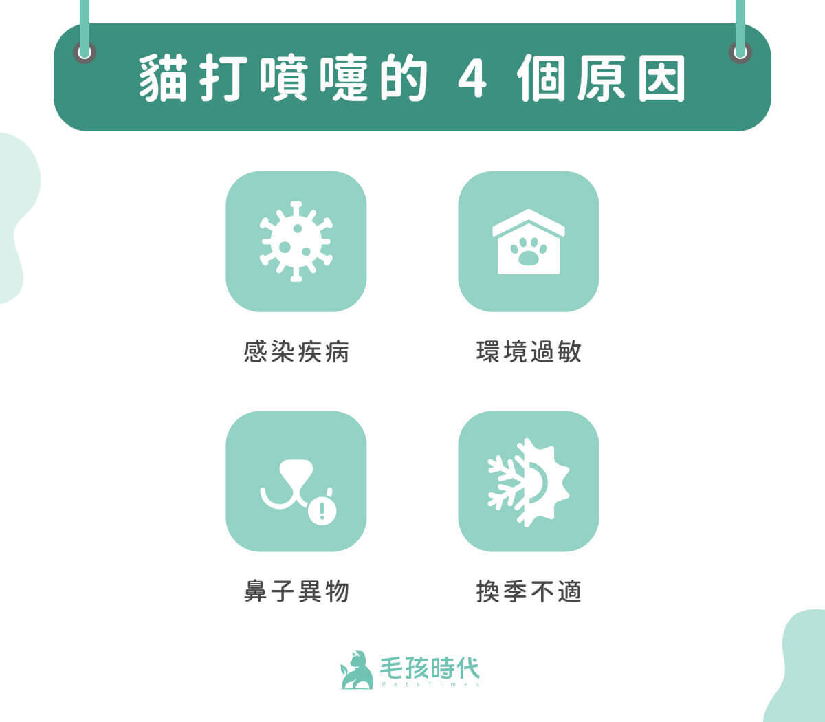 养猫日常问题