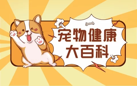 这款狗粮怎么样？5 款高品质狗粮横向对比为你扫障！