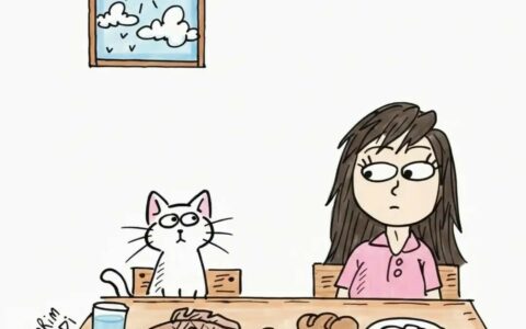 猫咪寿命一般多少年：0-15 岁生命周期全记录