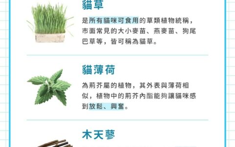猫草、猫薄荷、木天蓼的区别